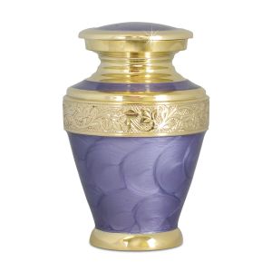 Image for choice number 35