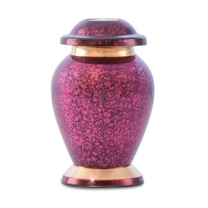 Image for choice number 18