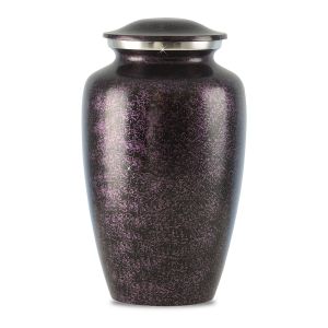 Image for choice number 43