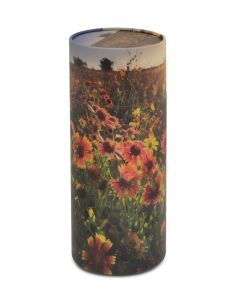 Image for choice number 187