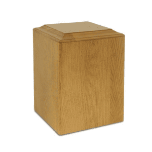 Image for choice number 157