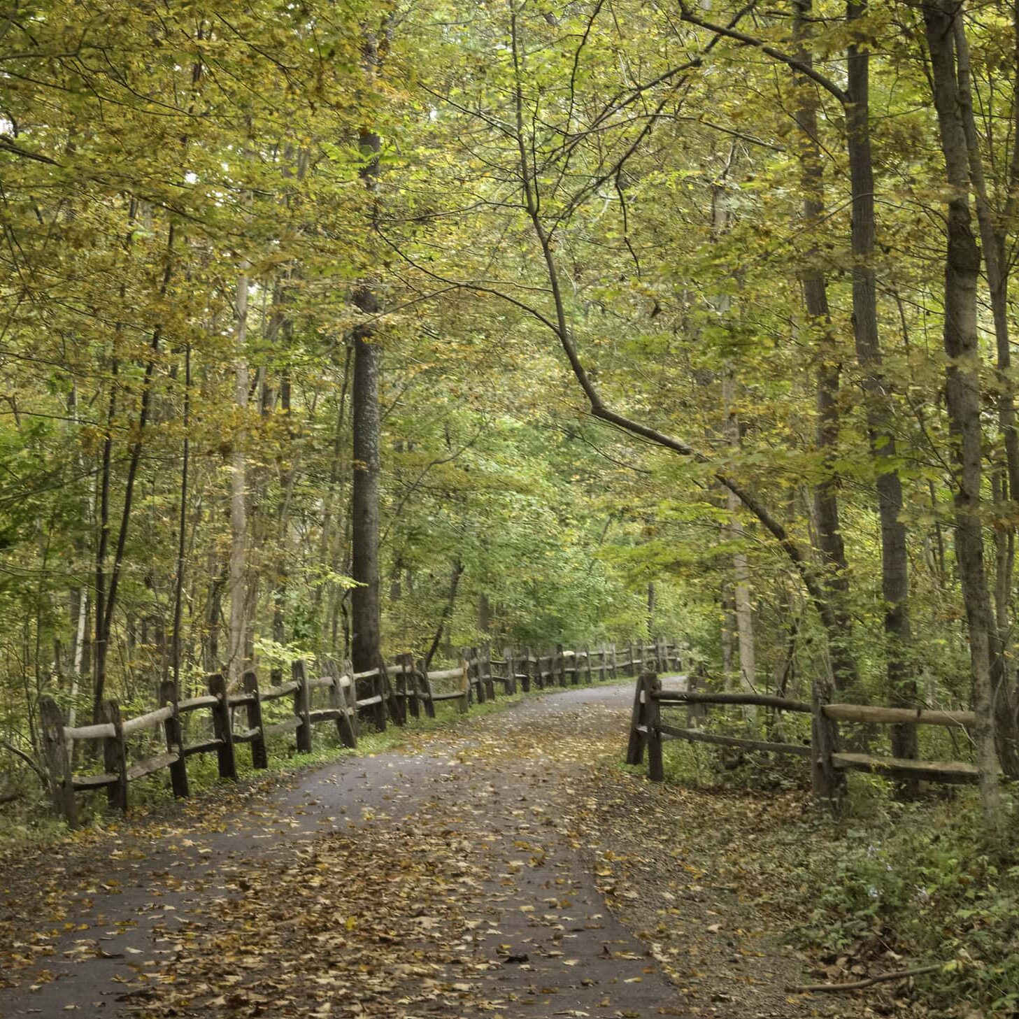 Cremation Services in Montgomery PA