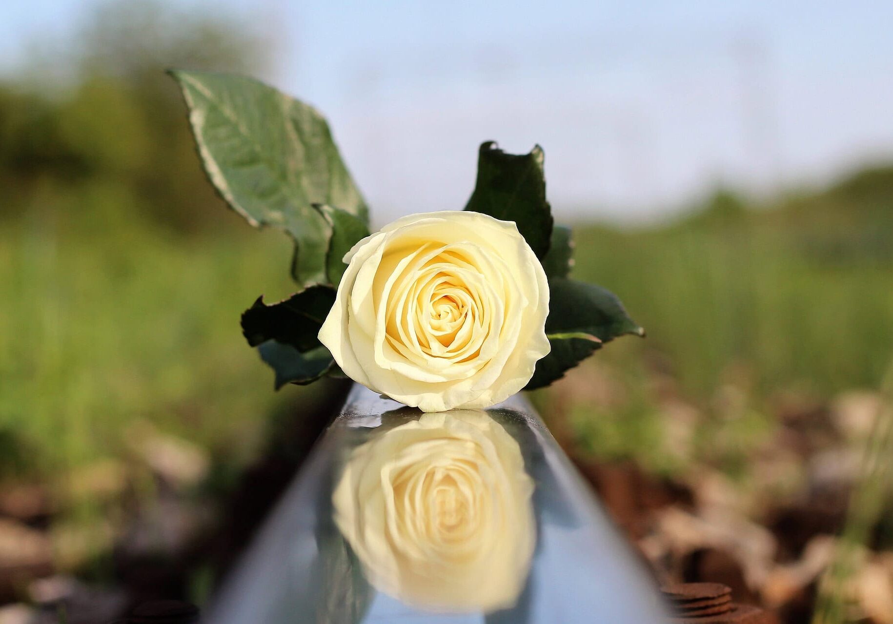 stop-children-suicide-5004760_1920